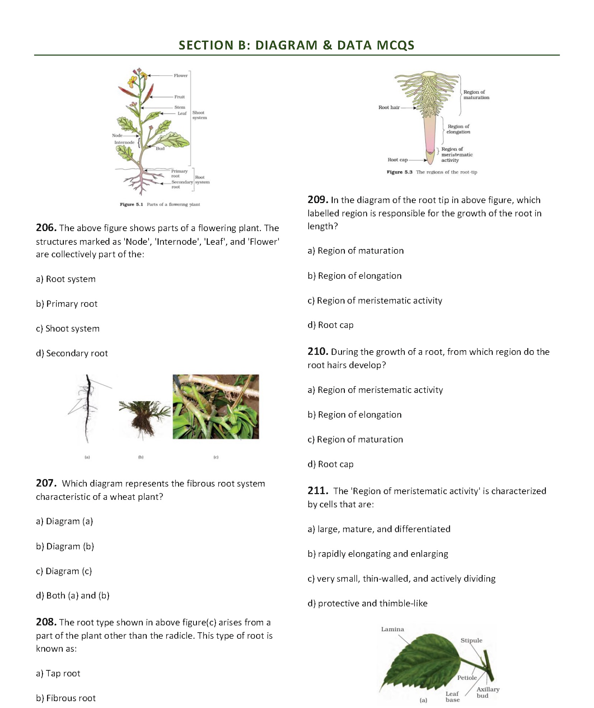 Sample Diagram from NEET Codex